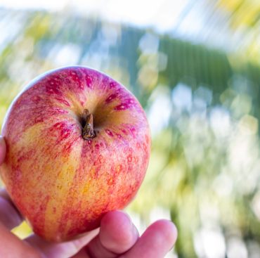 apple-2024-12-05-10-01-58-utc