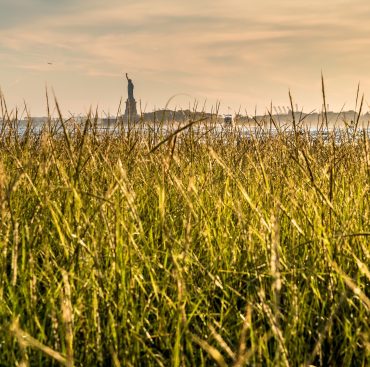 view-of-statue-of-liberty-from-brooklyn-bridge-par-2024-11-25-19-35-55-utc